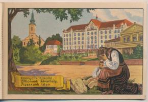 Erdély Örök Egyetlen Miénk! - 4 db régi erdélyi irredenta művészlap egy képeslapfüzetben Gebhardt és...