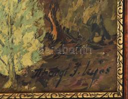 Tihanyi János Lajos (1892-1957): Balaton. Olaj, vászon, jelezve jobbra lent. Dekoratív, régi fakeret...