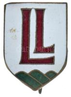 ~1940. &quot;Légoltalmi Liga&quot; zománcozott bronz jelvény (21x16mm) T:AU