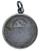 Osztrák-Magyar Monarchia 1915. "A Krasniki diadalmas csatában az oroszoktól elvett ágyúból vere...