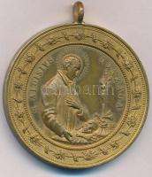 Olasz Államok / Pápai Állam 1891. "CASTILIO STIVERIORUM XI KAL. IUL. AN. MDCCCXCI / S. ALOISIVS...