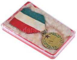 ~1960. "Kitűnő Tanuló" zománcozott, aranyozott Al kitüntetés mellszalagon, tokban T:XF