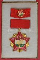 ~1970. "Szakszervezetek Országos Tanácsa arany fokozat" aranyozott, műgyantás kitüntetés, mellszalagon, miniatűrrel szalagsávon, eredeti tokban T:AU