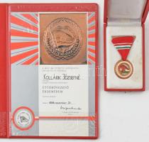 1988. "Úttörővezető Érdemérem" műgyantás fém kitüntetés mellszalagon, eredeti tokban, igazolvánnyal és adományozói okirattal T:UNC