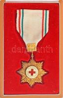 1981. "100 éves a Vöröskereszt" műgyantás bronz kitüntetés, mellszalagon, eredeti díszdobozban T:XF patina