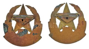 1970. "25. Díszszemle - 1945-1970" a Magyar Néphadsereg aranyozott, részben zománcozott fé...