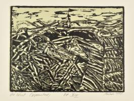 Butak András (1948-2021): Ősi kőzet, 1988. Gipszmetszet, papír, jelzett, művészpéldány EA V./IX. számozással.15x20 cm.