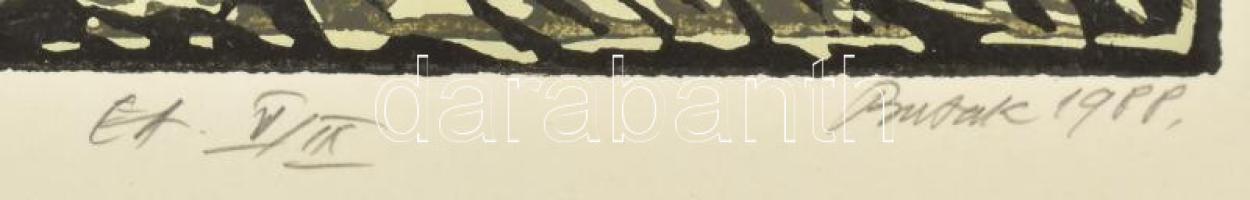 Butak András (1948-2021): Ősi kőzet, 1988. Gipszmetszet, papír, jelzett, művészpéldány EA V./IX. szá...