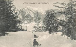 Wallberg Sledding field with the Hirschberg mountain (EB)