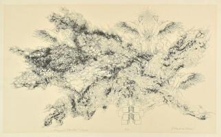 Ábrahám Rafael (1929-2014): Angel's Garden (Angyalok kertje). Ofszet, papír, jelzett, művészpéldány E.A. jelzéssel. 33x55 cm.