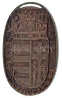 Zutt Richard (1887-1938) 1914. "Pénzintézetek Hadikórháza" bronz ovális emlékérem (48x29mm) T:AU / Hungary 1914. "Military Hospital of Financial Institutions" bronze oval commemorative medallion (48x29mm) C:AU  HP 6826.