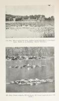 Cholnoky Jenő (1870-1950): Balaton. Magyar Földrajzi Társaság Könyvtára. Bp.,[1937],Franklin, 191+1 ...
