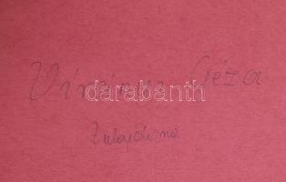 Tátray János: A lótenyésztés és a ló külső formáinak (alakulásainak) ismertetése
Budapest, 1918, Pá...