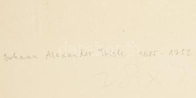 Johann Wolfgang von Goethe (1749-1832) metszése, Johann Alexander Thiele (1685-1752) festménye után:...