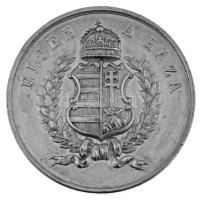 1865. "Emlékül az 1865. évi Országgyűlés megnyitására Pesten / Éljen a Haza" Sn emlékérem (41mm) T:AU ph. / Hungary 1865. "In memoriam for the opening of the Parliament in Pest / Long live the Country" Sn commemorative medallion (41mm) C:AU edge error