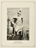 Somogyi Zsigmond, medgyesi: Magyarország főispánjainak története. 1000-1903. Szerkeszté: ~.
Bp., 19...