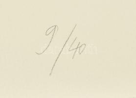 Bér János (1937-2021): Zöld-kék kompozíció, 1992. Szitanyomat, papír, jelzett, számozott (9/40). Lap...