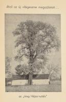 [Héjjas Iván] A Rongyos Gárda harcai. Irta Egy rongyos.
Bp., 1939, Stephaneum ny. 324 l. (szövegköz...