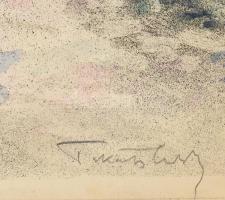 Tikáts Adolf (1872-?): Naphegy u., Tabán, 1907. Színezett litográfia, papír. Jelzett, a litográfián ...