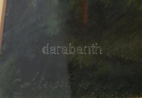 Olvashatatlan jelzéssel, magyar alkotó, feltehetően XX. sz. első fele: Erdei ösvény. Pasztell, papír...