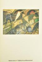 Formák a tubusból. XX. századi és kortárs magyar festők műveiből válogatta: Alföldi Róbert. Jónás Ta...