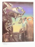 Salvador Dalí. London, 1987, Tate Gallery. Angol nyelven. Gazdag képanyaggal, Salvador Dalí műveivel...