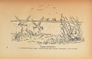 Szűcs Sándor: A régi Sárrét világa. Bólyai könyvek. [Bp., 1941], Bolyai Akadémia. Kiadói papírkötés,...