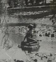 Margitszigeti részlet, fotó, jelzés nélkül, kartonra kasírozva, jobb felső sarkában és kartonon kiss...