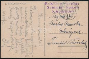 1917 Tábori posta képeslap / Field postcard K.u.k. Reservespital Szatmár-Németi 5. Abteilung