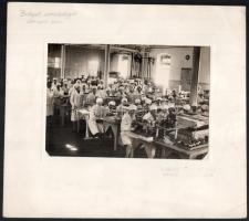 cca 1940 Budapesti csokoládégyár csomagoló üzem fotó kartonon teljes méret 25x20 cm