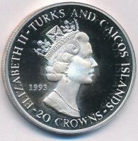Turks- és Caicos-szigetek 1993. 20C Ag "II. Erzsébet / Téli Olimpia - Lillehammer - Jéghoki&quo...