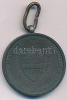1940. "Erdélyi részek felszabadulásának emlékére" Zn emlékérem mellszalag nélkül. Szign.: ...