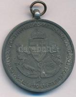 1941. "Délvidéki Emlékérem" Zn emlékérem mellszalag nélkül. Szign.: BERÁN L. T:XF Hungary ...