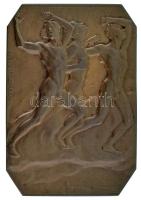 Beck Ö. Fülöp (1873-1945) 1905. "Petőfi Sándor" bronz plakett, Éremkedvelők Egyesületének ...