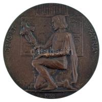 Berán Lajos (1882-1943) 1923. "Ipolyi Arnold születésének 100. évfordulója emlékére / DEVS ET P...