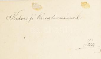 1896 Díszmagyaros úr fényképről készült rajza kartonon 18x24 cm Foltos