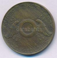 ~1946-1949. 50Ft Br "BSZKRT / Budapest Székesfővárosi Közlekedési Rt." bronz bárca T:XF