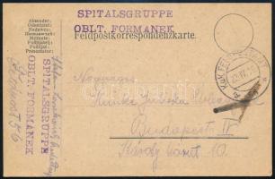1916 Tábori posta levelezőlap / Field postcard SPITALSGRUPPE OBLT. FORMANEK