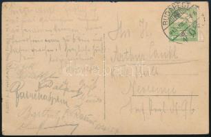 1913 Budapest XIV. Városliget, Gundel Károly állatkerti vendéglője, katonatisztek asztaltársasága / ...