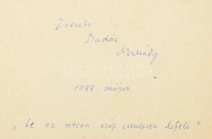 Dresch Mihály (1955-) zenélés közben 1988-ban, jelzés nélküli fotó, kartonra kasírozva, hátoldalán f...