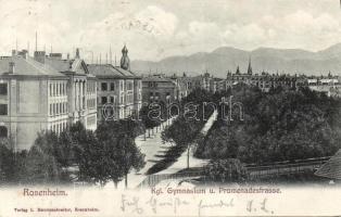 Rosenheim grammar school and promenade
