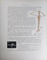 Magyarország történeti emlékei az 1896. évi Ezredéves Országos Kiállításon. Szerkesztik: Czobor Béla...