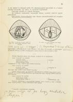 Hoyos János: Sebészi eljárások Ádám Lajos Dr. klinikáján. Sebestyén Gyula előszavával. Bp., én., Sze...