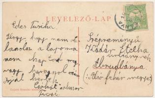 1910 Körösbánya, Kőrösbánya, Altenburg, Baia de Cris; Piactér, Gainai vásár, Vasútállomás, Cebei ort...