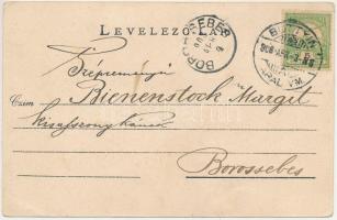 1908 Buttyin, Nagybuttyin, Buteni; Római katolikus templom, Fő tér, üzletek. Bienenstock József kiad...