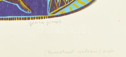 Józsa János (1936-2016): Cirkusz. Színes fametszet, papír, jelzett, 36×56 cm