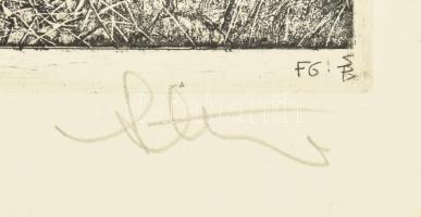 Stettner Béla (1928-1984): A bujdosó fejedelem (Rákóczi). Rézmetszet, papír, jelzett, 19x29 cm