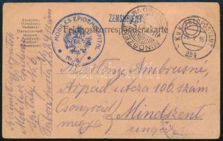 1916 Tábori posta levelezőlap / Field postcard MOBILES EPIDEMIESPITAL Nr.6. + FP 224