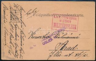 1917 Tábori posta levelezőlap / Field postcard K.u.k. EPIDEMIESPITAL IN BRSADIN