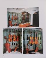 Benedek, Peter:
Ungarischer Geigenbau (Violin Makers of Hungary): A Detailed Documentation of the 1...